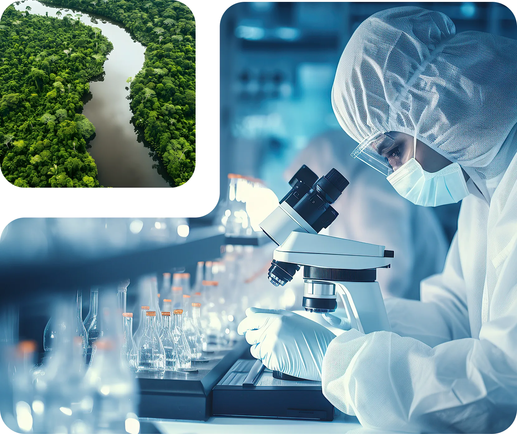Foto — investigación de laboratorio y bioma brasileño